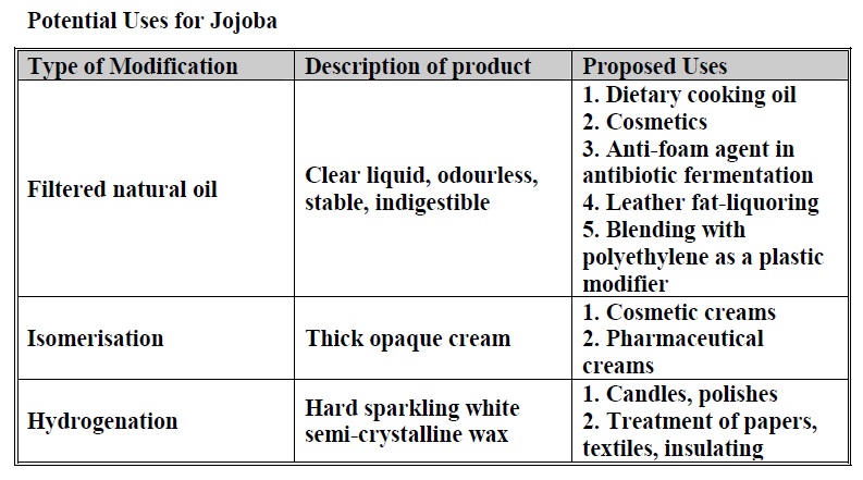 Uses for Jojoba