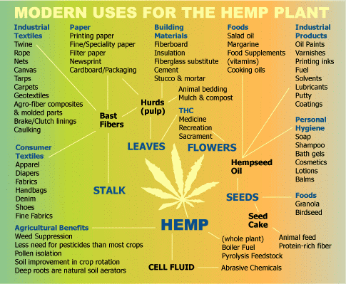 100 Hemp Uses