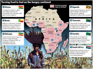 Africa Biofuels Production Graphic