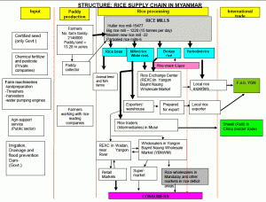 Rice Supply Chain