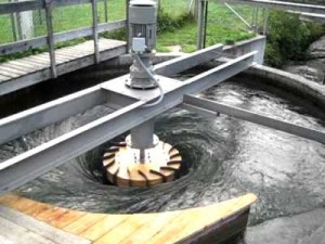 Gravitational Vortex Power Micro Hydro Power Plant