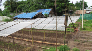 Rural Organic Coop Myanmar 2013 Image David DuByne