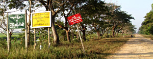 Irrawaddy Delta Road 25 KM from Yangon Myanmar 2013 Image David DuByne