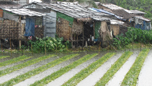Mingalardonzay Township Yangon Myanmar 2013 Image David DuByne