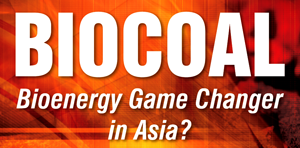 Biocoal_Biochar Overview PDF