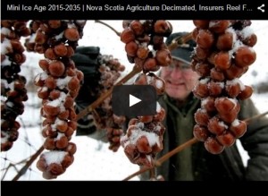 Mini Ice Age 2015-2035  Nova Scotia Agriculture Decimated, Insurers Reel from Cold Claims