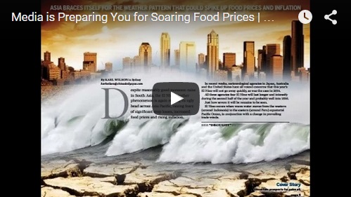 Media is Preparing You for Soaring Food Prices