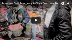 Myanmar Cold Emergency & China Crop Loss Forecast