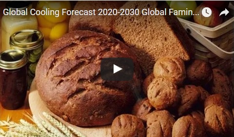 Global Cooling Forecast 2020-2030 Global Famine