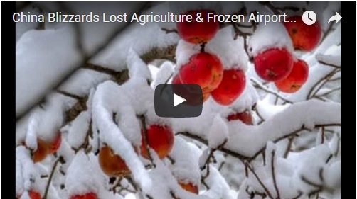 china-blizzards-lost-agriculture-frozen-airports-is-there-a-solution