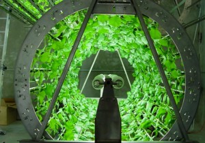 Omega Garden Intelligent Hydroponics